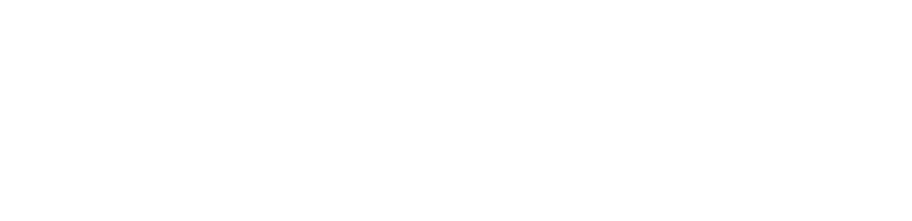 TST VIP Logo